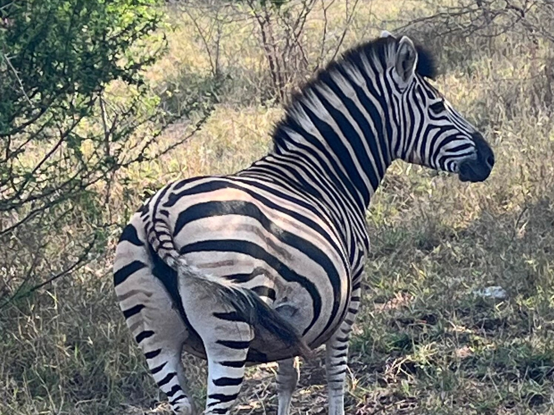 Bayete Zulu Boutique Lodge主图