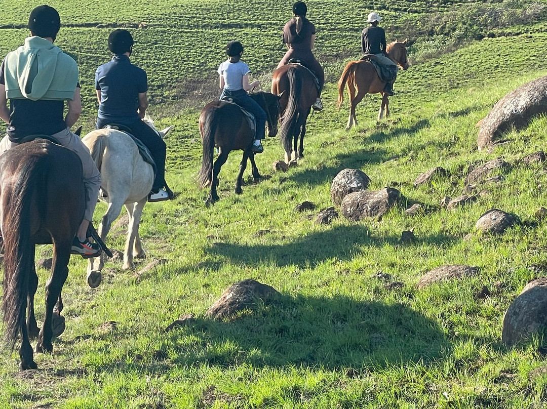 Khotso Horse Trails-安德堡必去景点