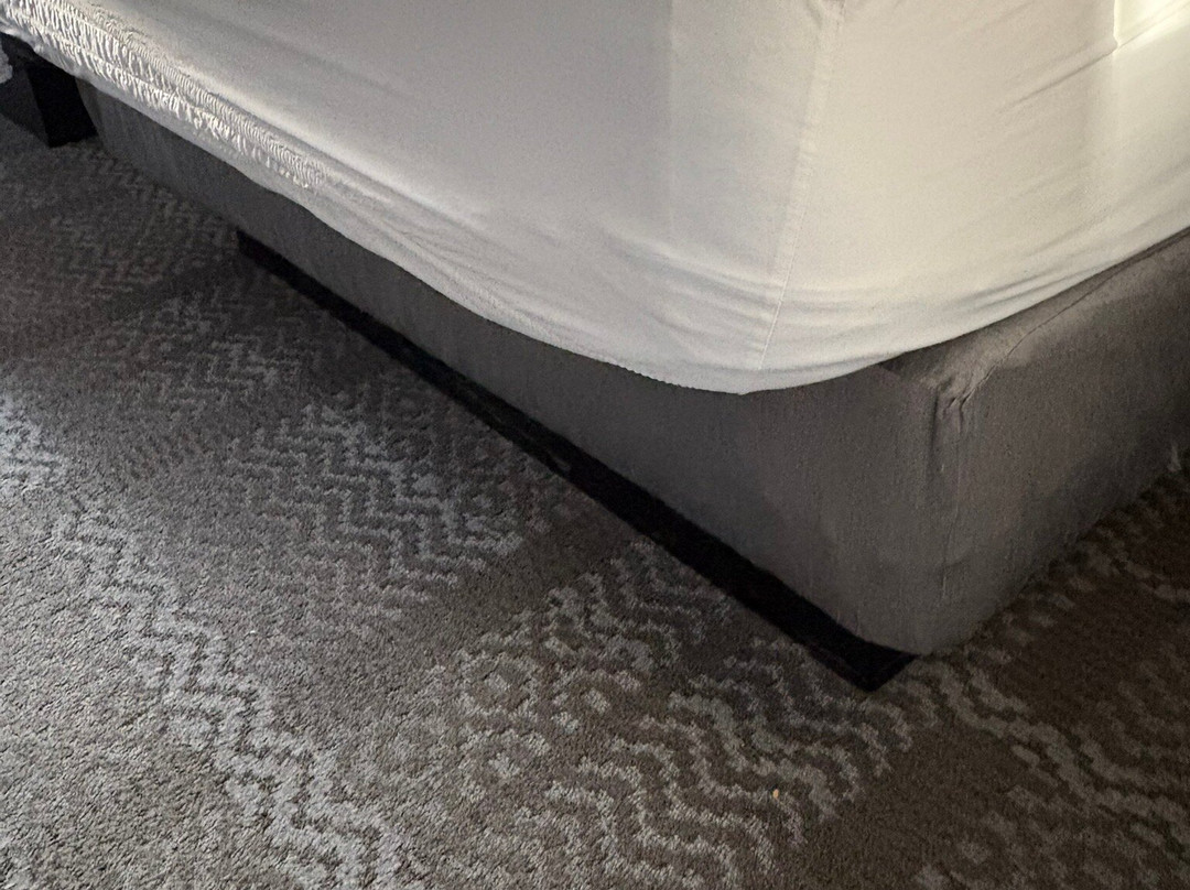 Staybridge Suites Phoenix - Glendale Sports Dist by IHG主图