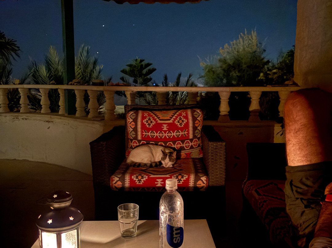 B&b Petra Fig Tree Villa主图