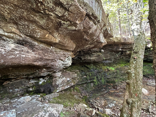 Wilderness Rider Buffalo Ranch & Adventure Park-Kingston必去景点