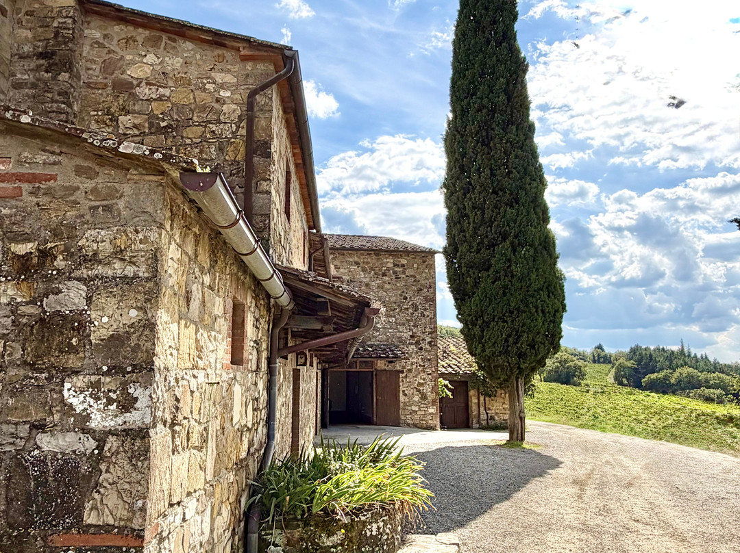 Castellare di Castellina-卡斯特利纳－因基安蒂必去景点