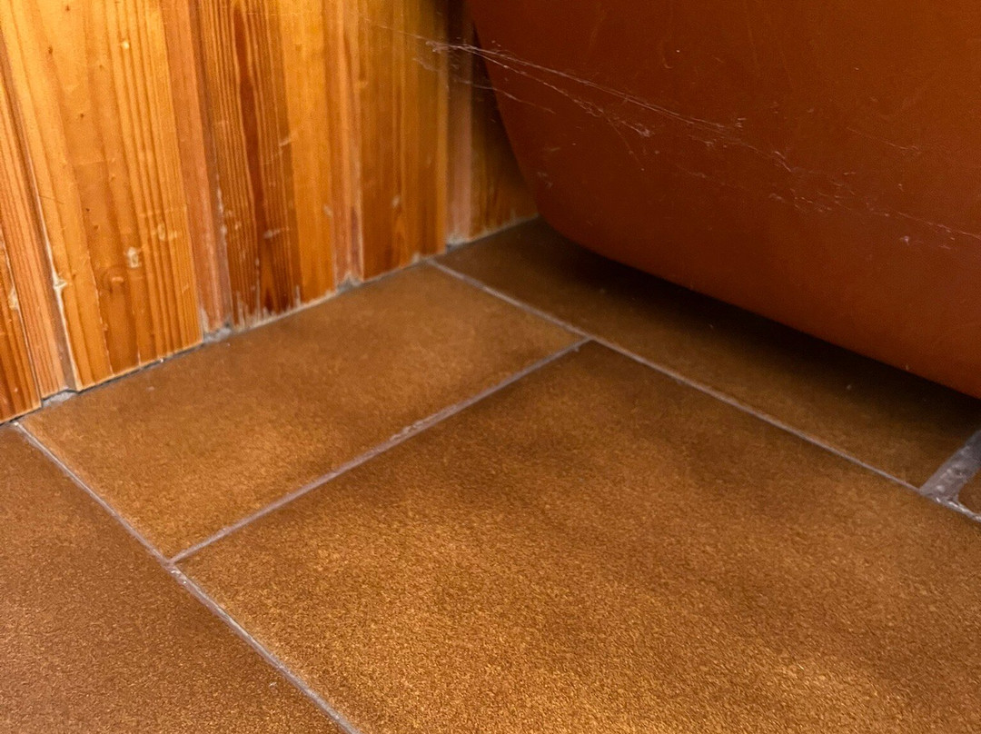 Milionis Forest Hotel主图