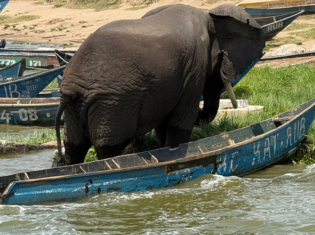 Mamaland Safaris-坎帕拉必去景点