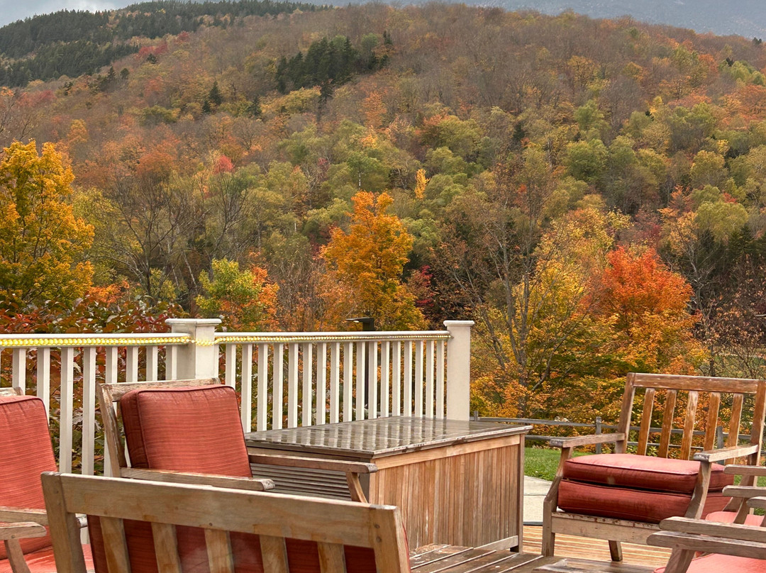 The Glen House主图