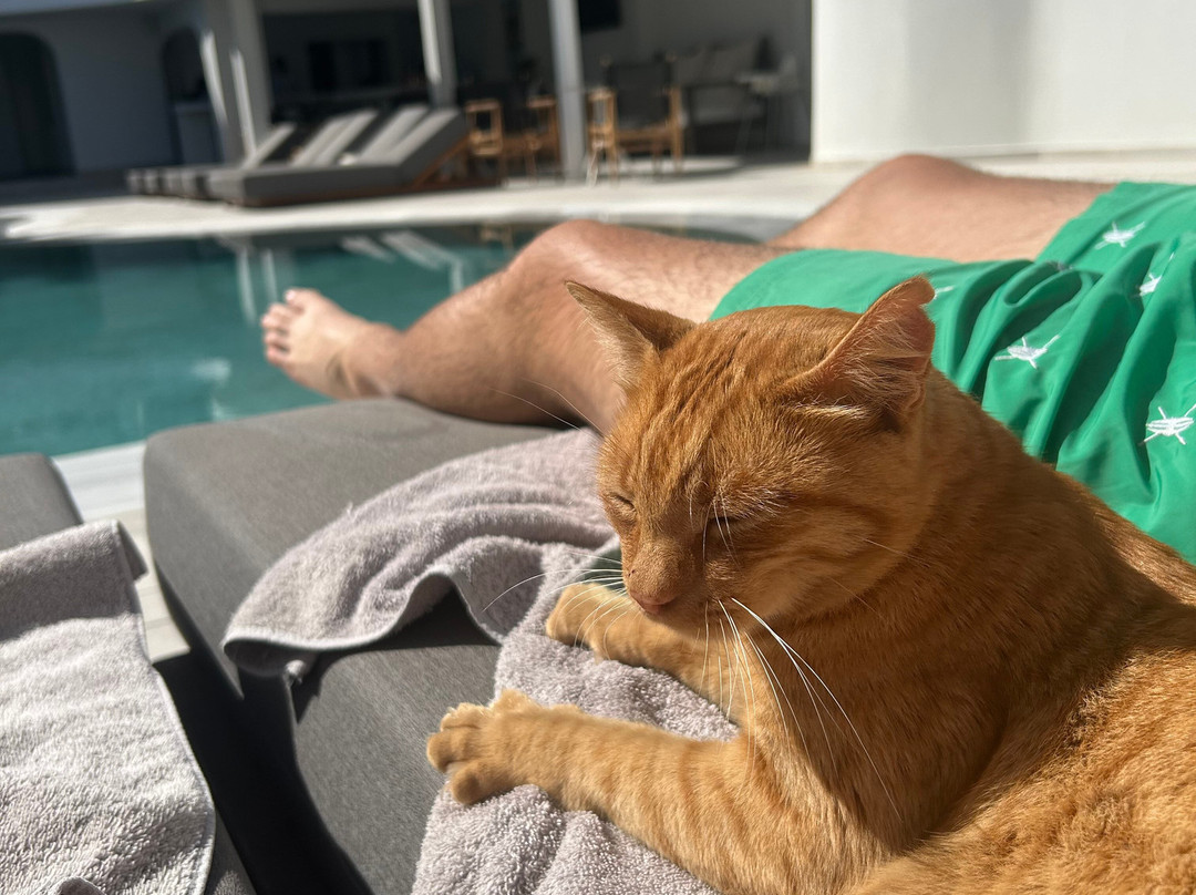 Mika Villas & Suites主图