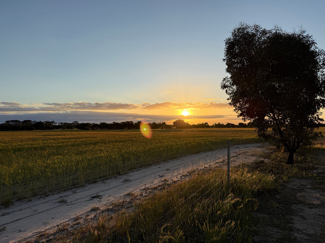 Mary's Farm Cottages主图