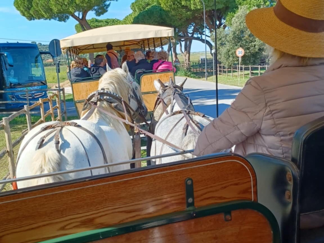 Carrozze di Maremma-Alberese必去景点