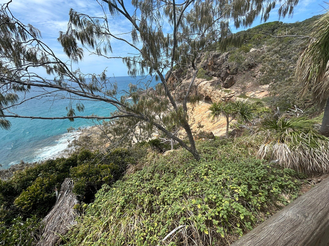 Joseph Banks Regional Park-1770镇必去景点
