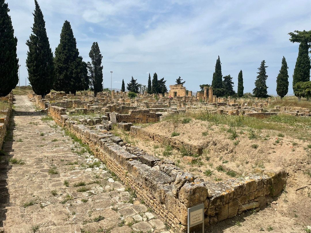 Utica-比塞大必去景点