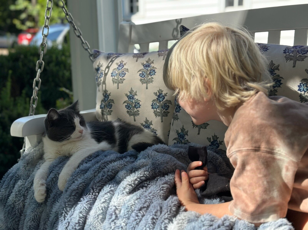 A Storybook Inn主图