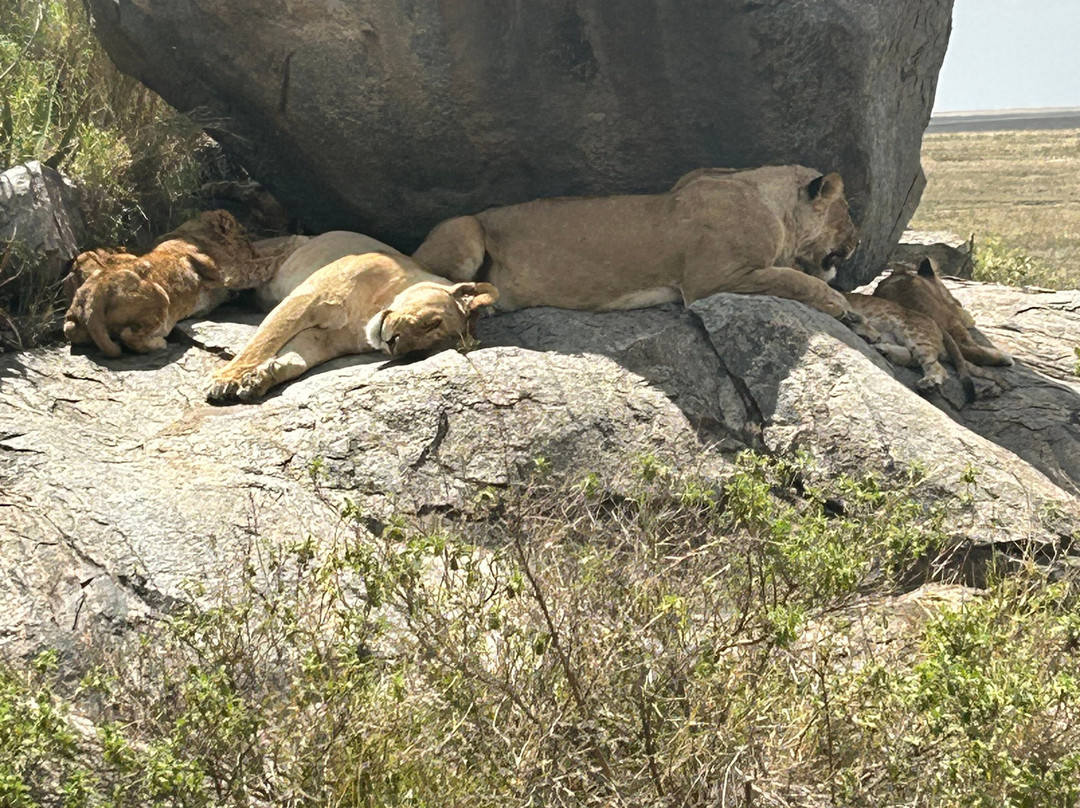 Access2Tanzania-阿鲁沙必去景点