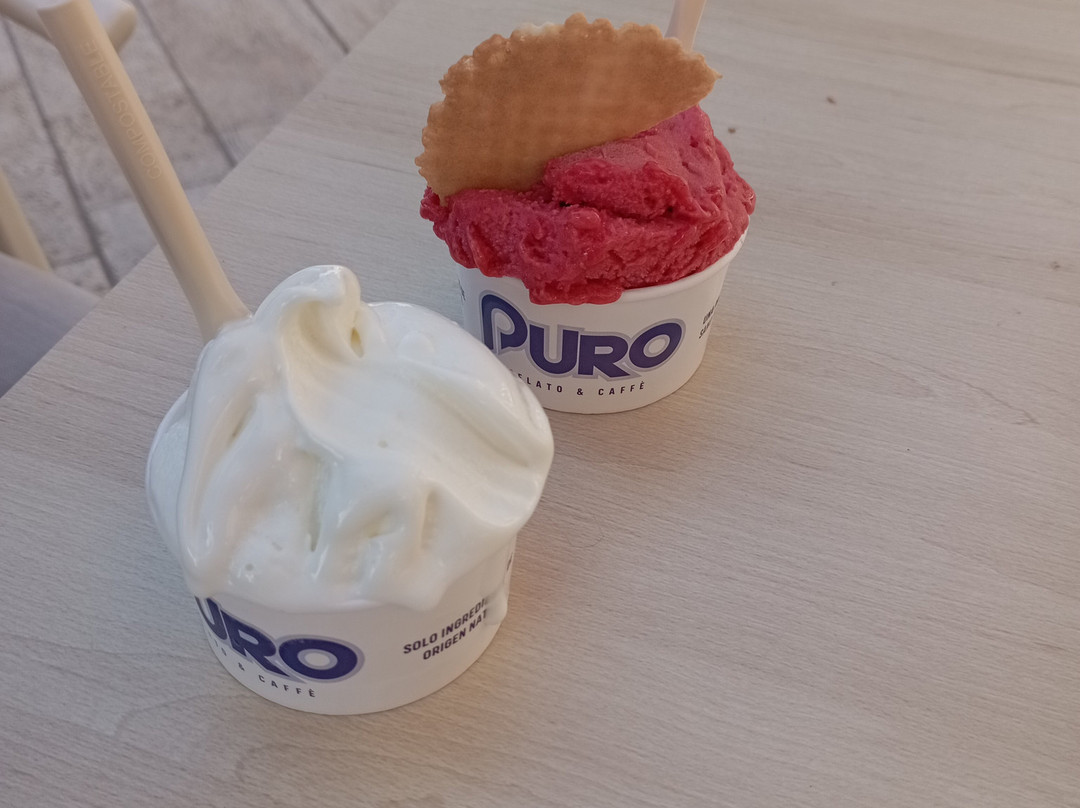 Puro Heladeria Y Cafe