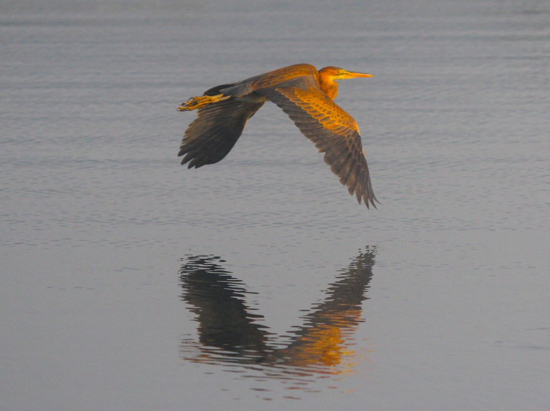 Adil Boat Tours-达利安必去景点