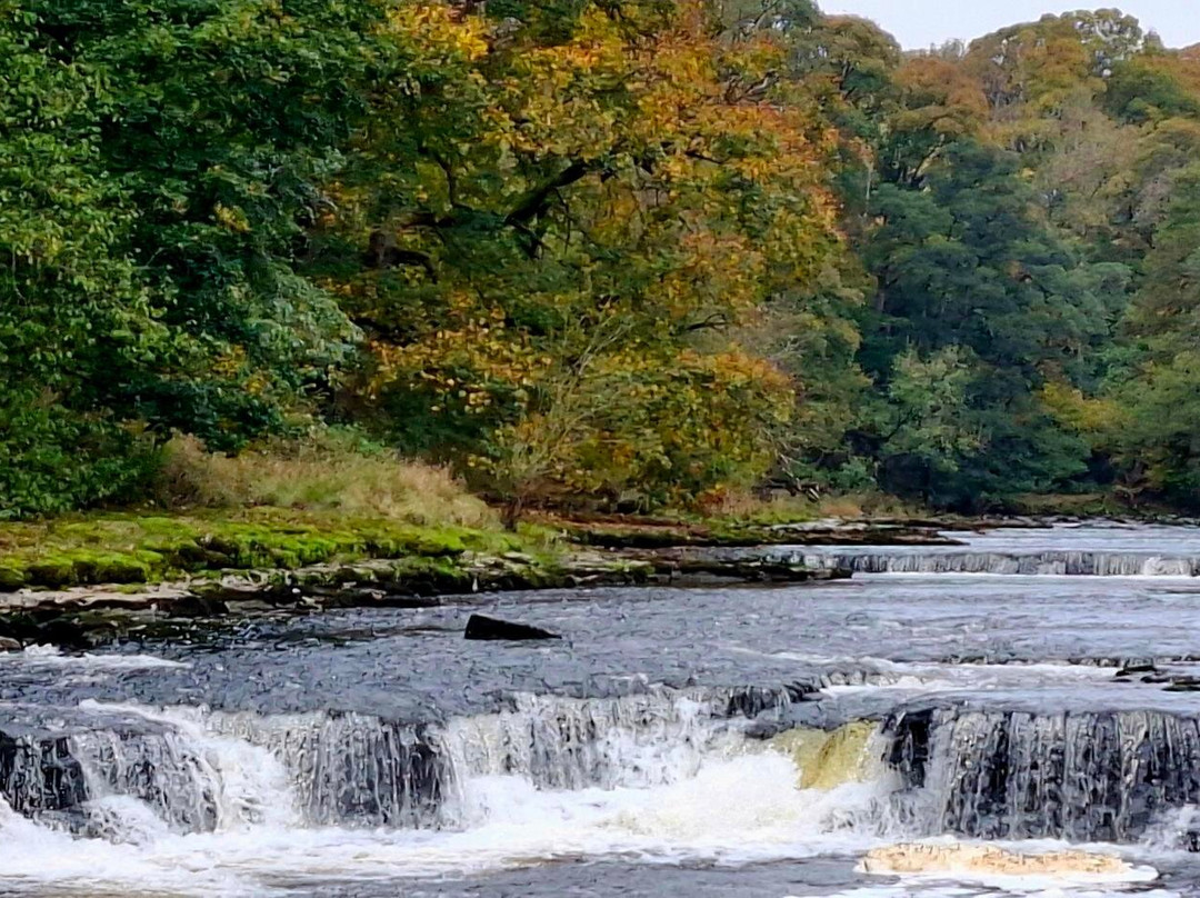 Aysgarth Falls-Aysgarth必去景点