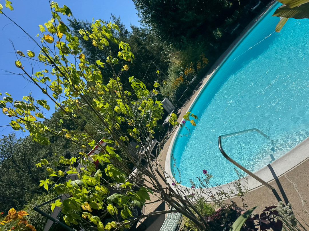 Alpenhof Bed & Breakfast主图