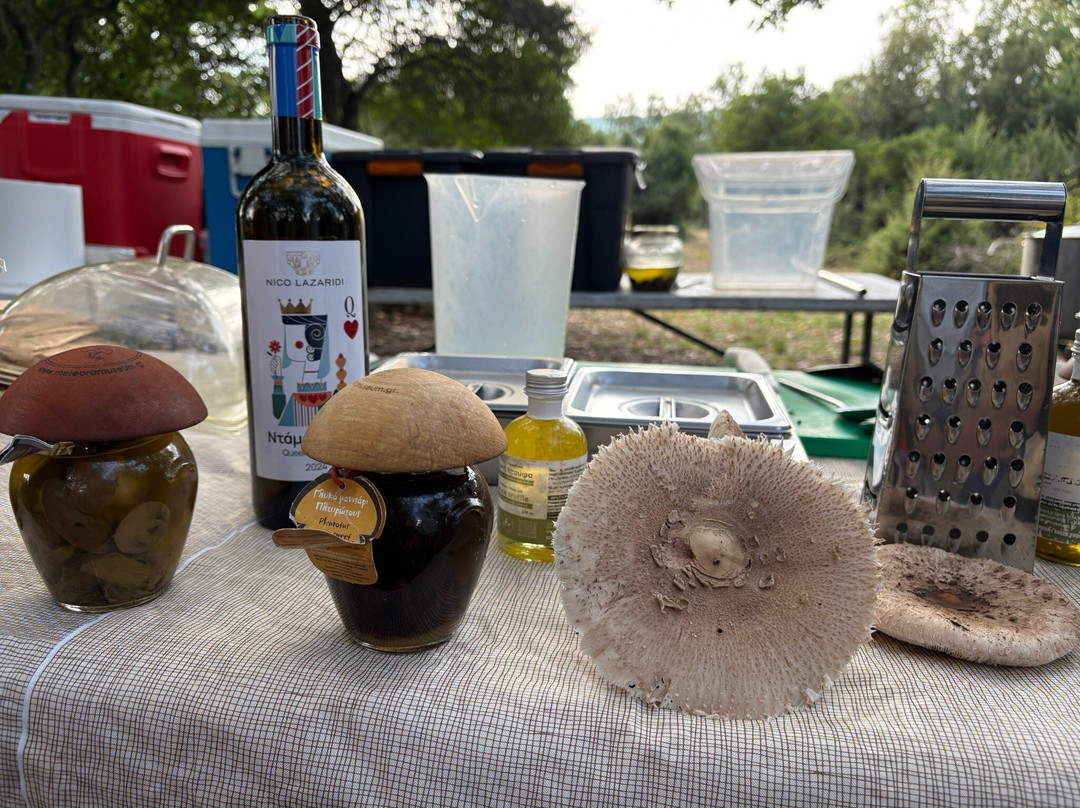 Natural History Museum of Meteora & Mushroom Museum-卡兰巴卡必去景点