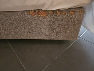 Karya Family Resort主图