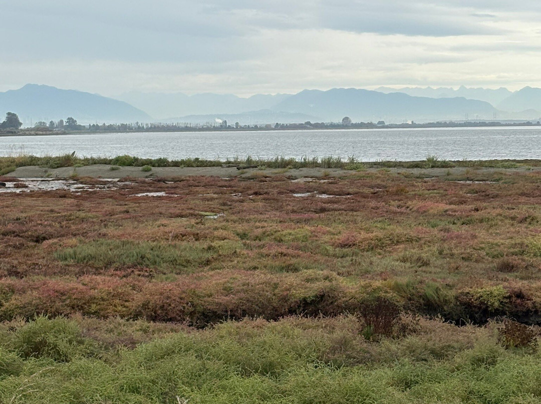 Boundary Bay Regional Park-Delta必去景点