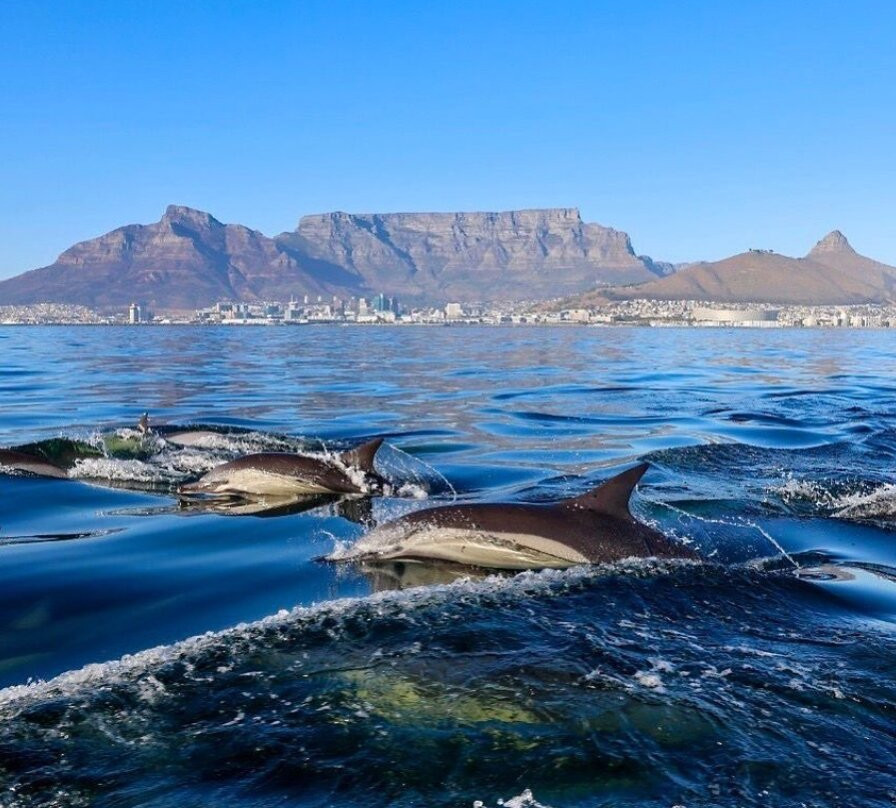 Kayak Wild-Three Anchor Bay必去景点