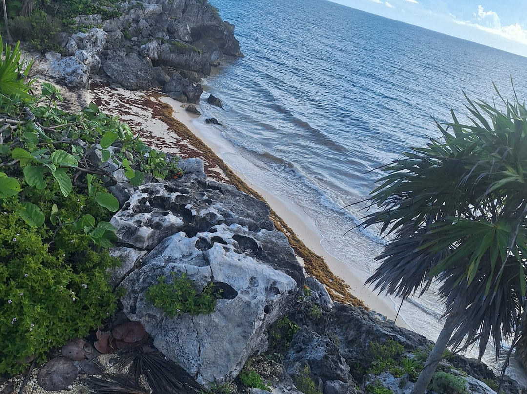 Paseo Tours-普拉亚德尔卡曼必去景点