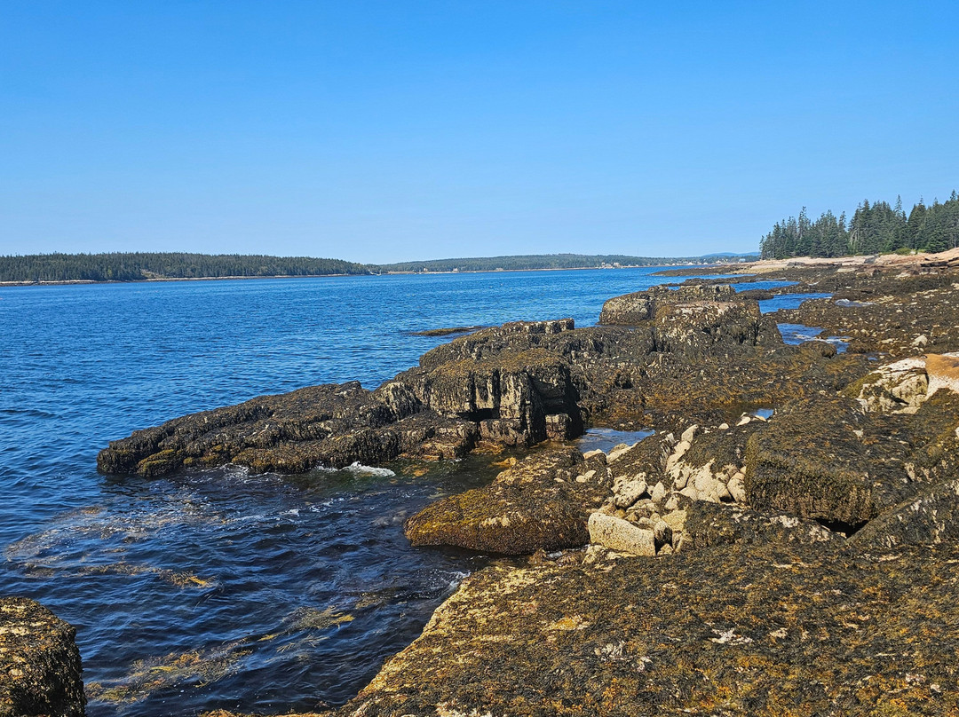 Schoodic Peninsula-巴港必去景点