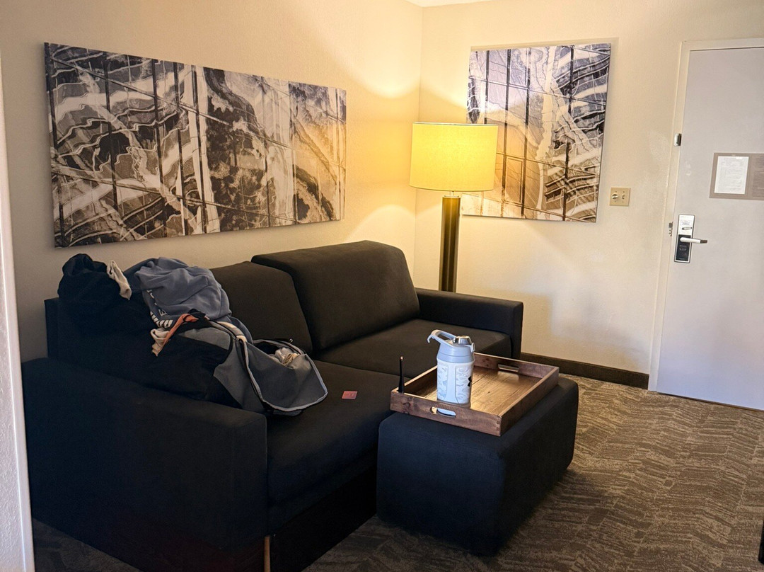 SpringHill Suites by Marriott Minneapolis-St. Paul Airport/Eagan主图