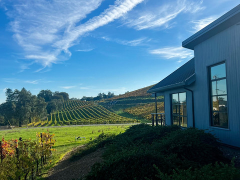 Wine Tasting Drivers-纳帕必去景点