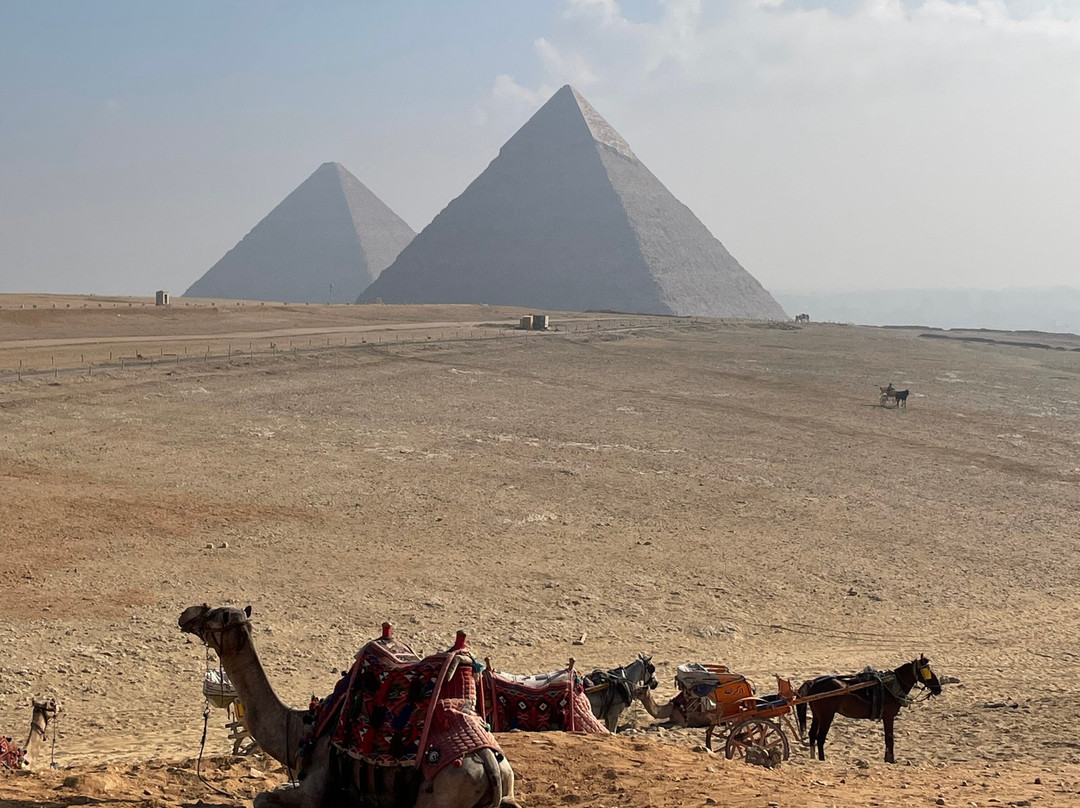 Reisen in Ägypten-艾高娜必去景点