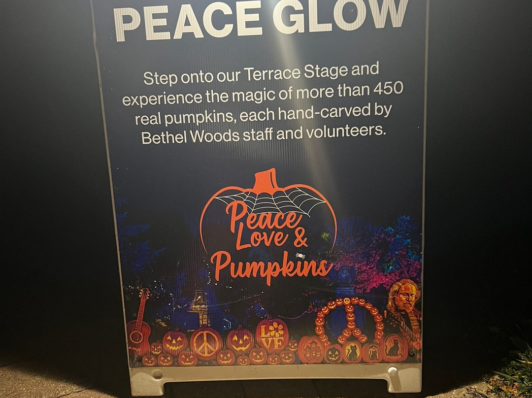 The Museum at Bethel Woods-Bethel必去景点