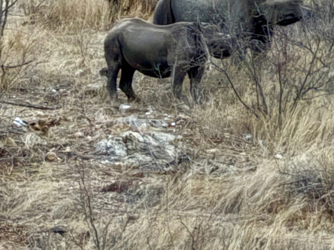 MyAfrica-霍德斯普鲁特必去景点