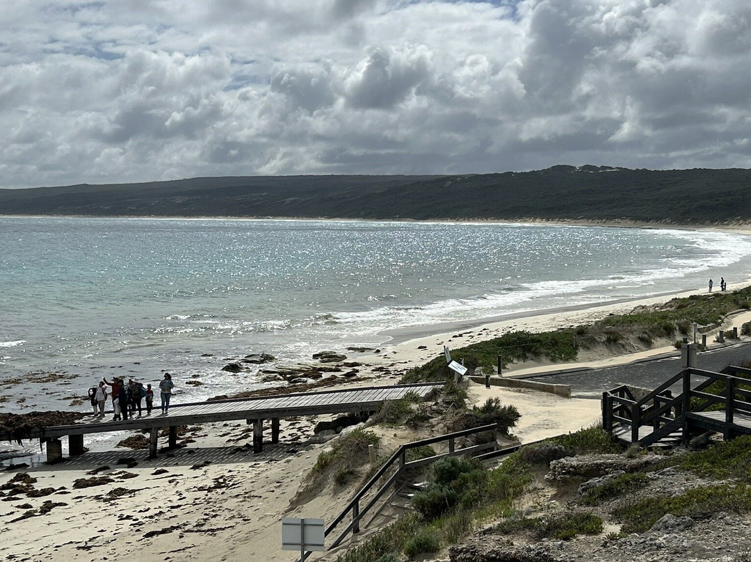 Hamelin Bay Beach-玛格丽特河必去景点