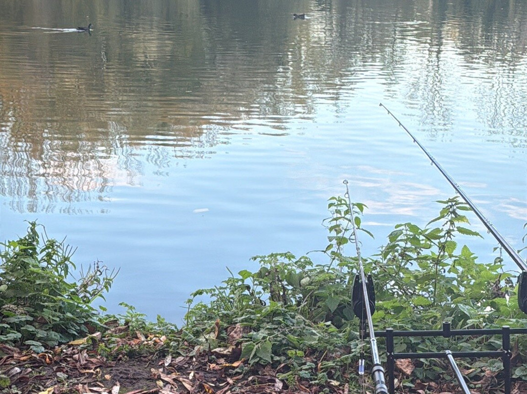 Woodland Waters Fishing-Ancaster必去景点