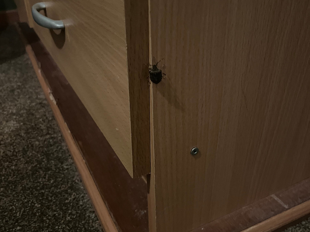 Appartementen Valkenburg主图