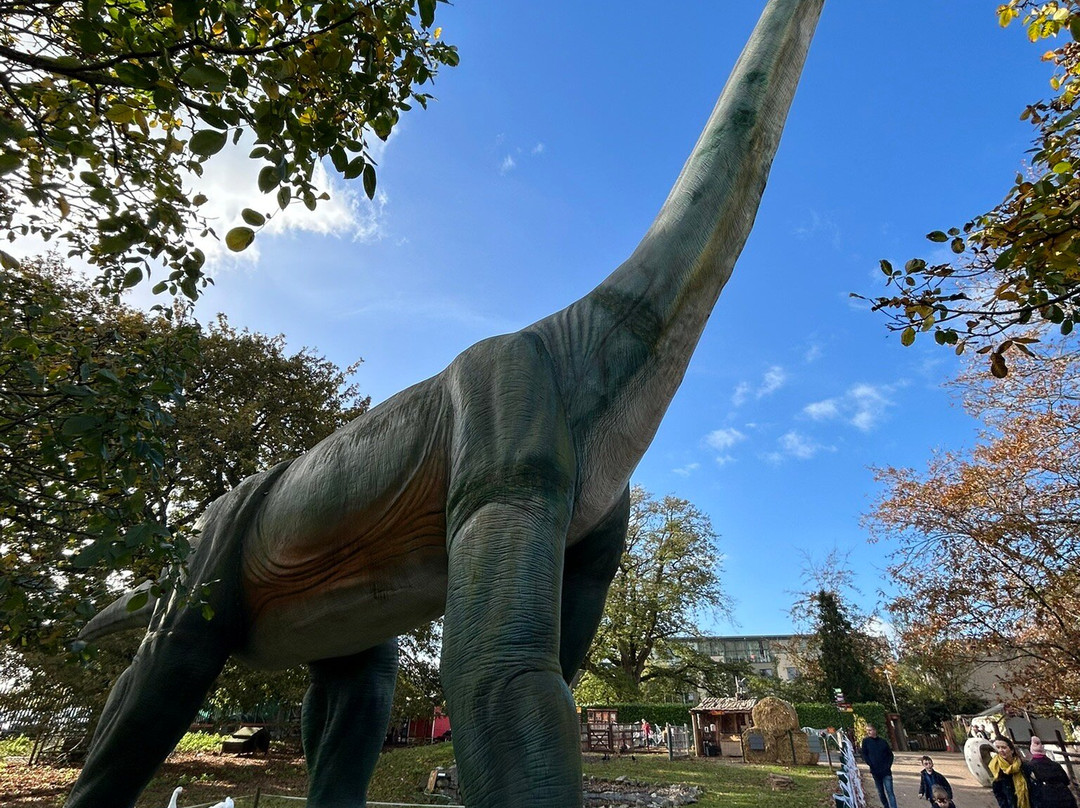 Jurassic Newpark-基尔肯尼必去景点