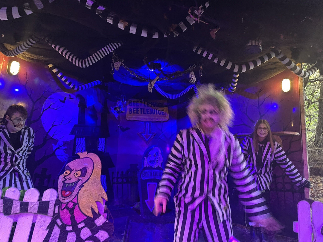 Luggwoods-Saggart必去景点