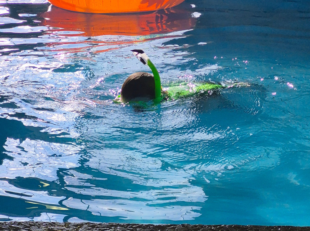 先驱者公园贝斯特韦斯特优质酒店主图