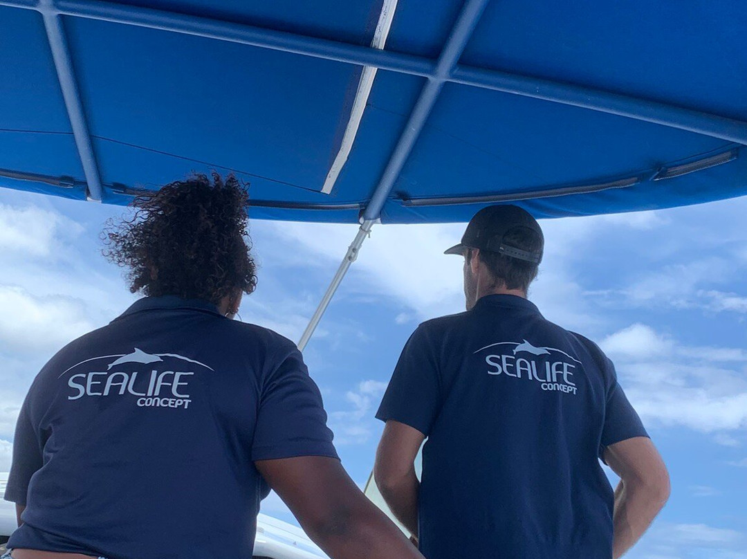 Sealife-圣吉尔莱班必去景点