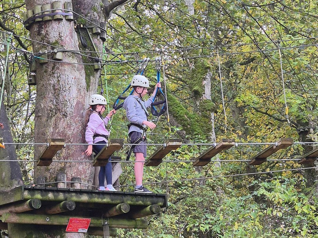 Raven Tree Top Adventure-斯基普顿必去景点