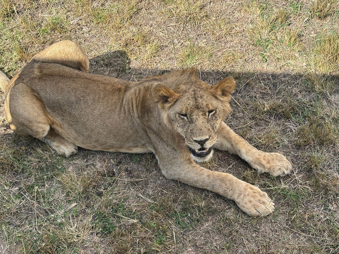 Still Waters Safaris Tanzania