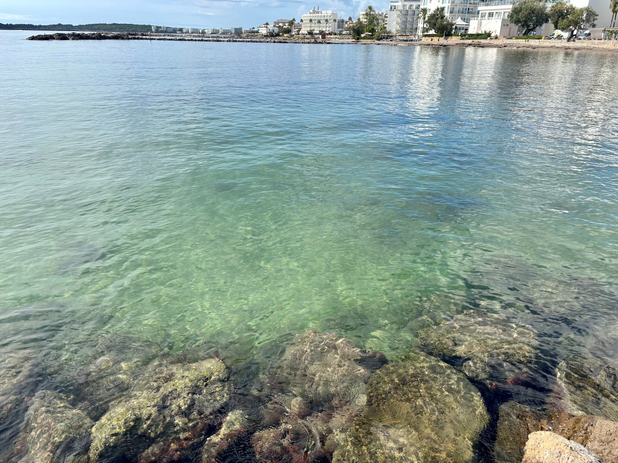 Protur Bonamar Hotel-官方