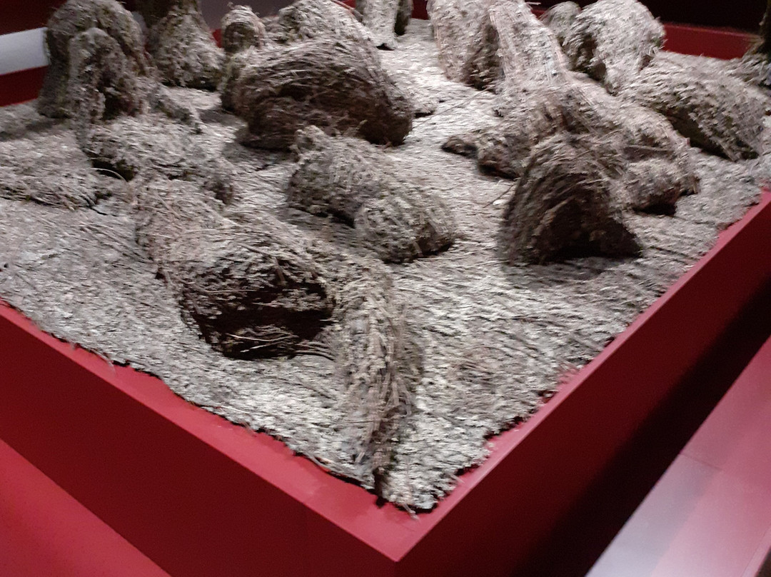 Lahti Museum Of Visual Arts Malva-拉赫蒂必去景点