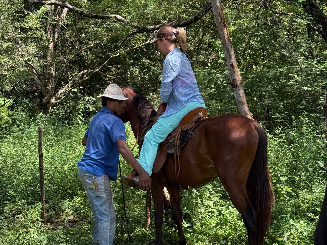 Guti Tours-Playa Avellanas必去景点
