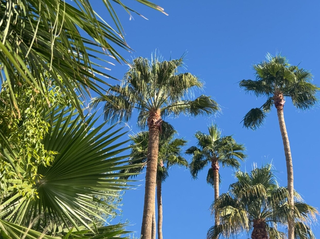 拉丰特旅馆&套房酒店主图