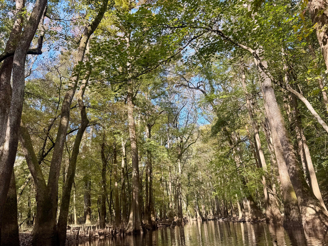 Carolina Outdoor Adventures-厄莫必去景点