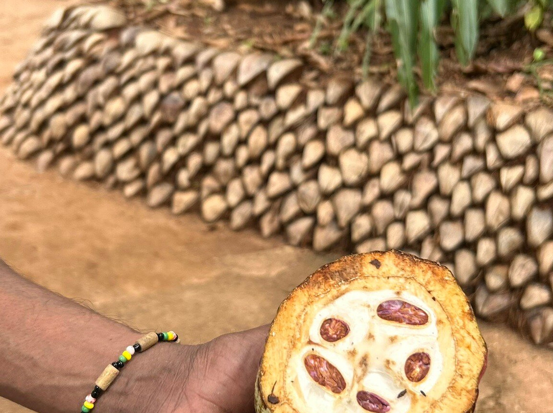 Vilan Tours Srilanka-尼甘布必去景点