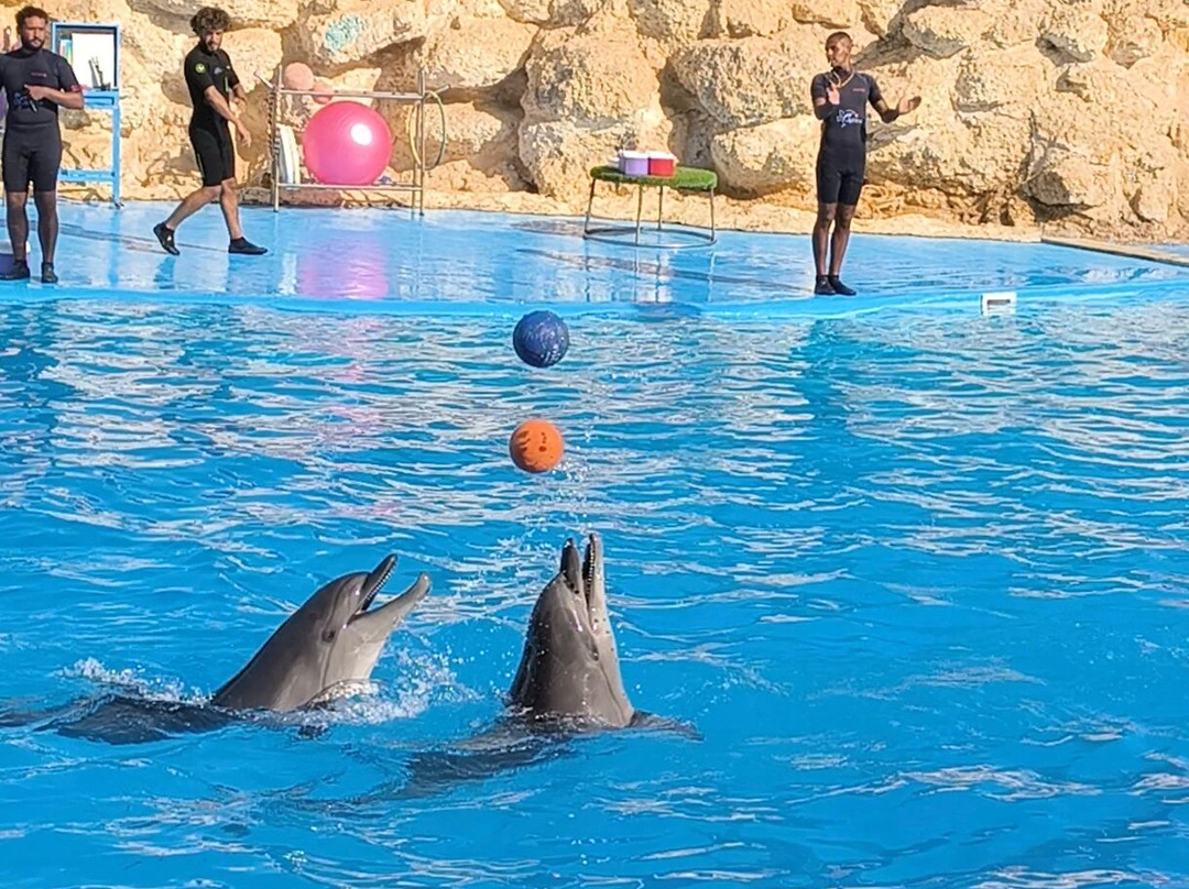 Brothers Safari Excursions-沙姆沙伊赫必去景点