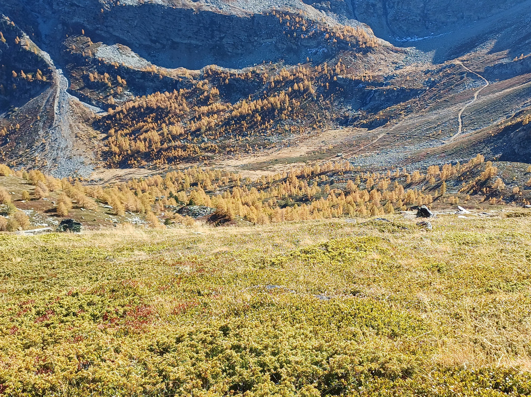 Belvedere d'Arpy-Morgex必去景点