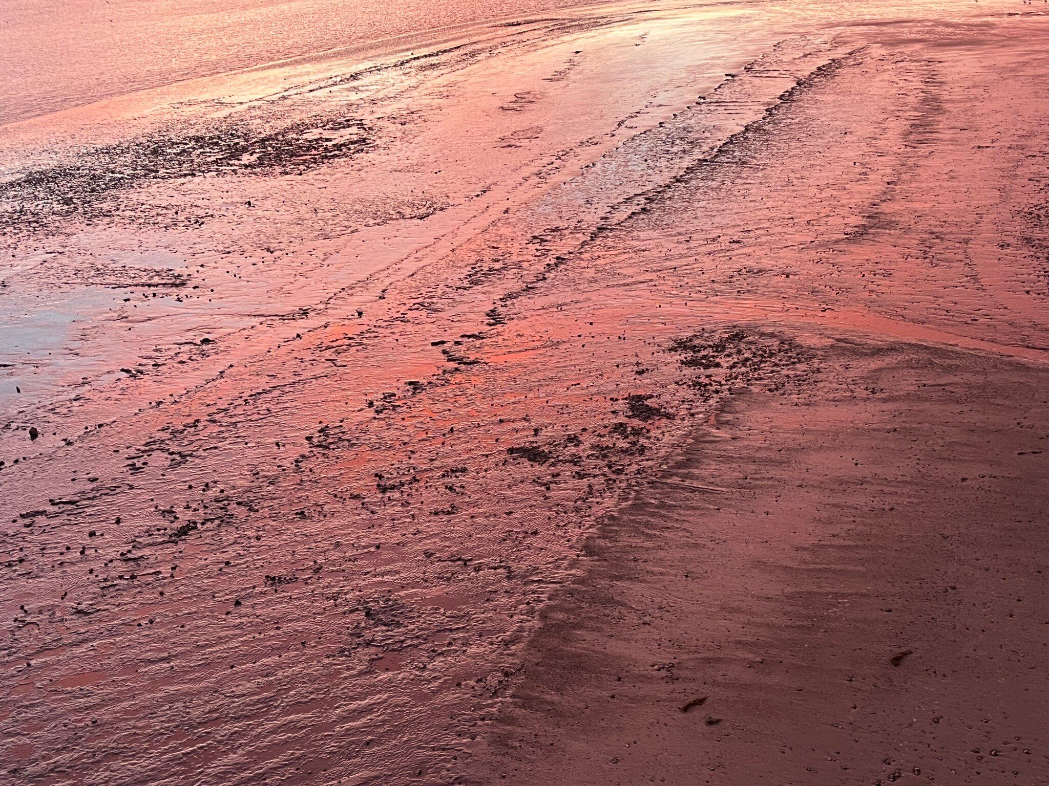 Hotel Du Guesclin-官方