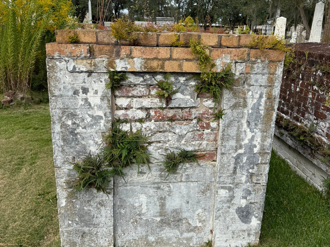 St. John's Historic Cemetery-Thibodaux必去景点